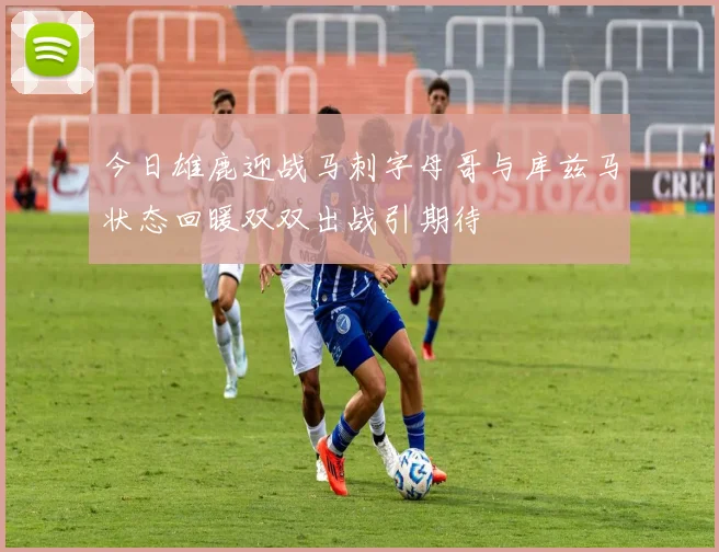今日雄鹿迎战马刺字母哥与库兹马状态回暖双双出战引期待
