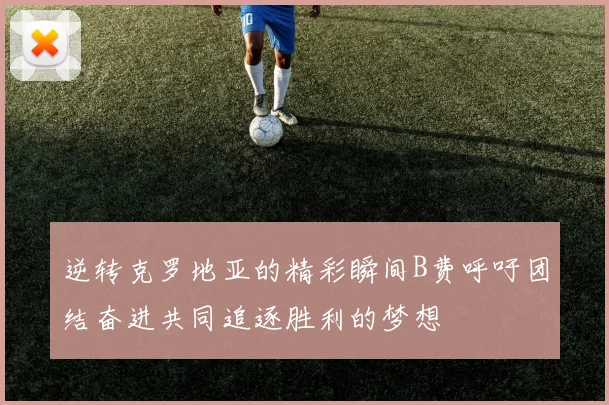 逆转克罗地亚的精彩瞬间B费呼吁团结奋进共同追逐胜利的梦想